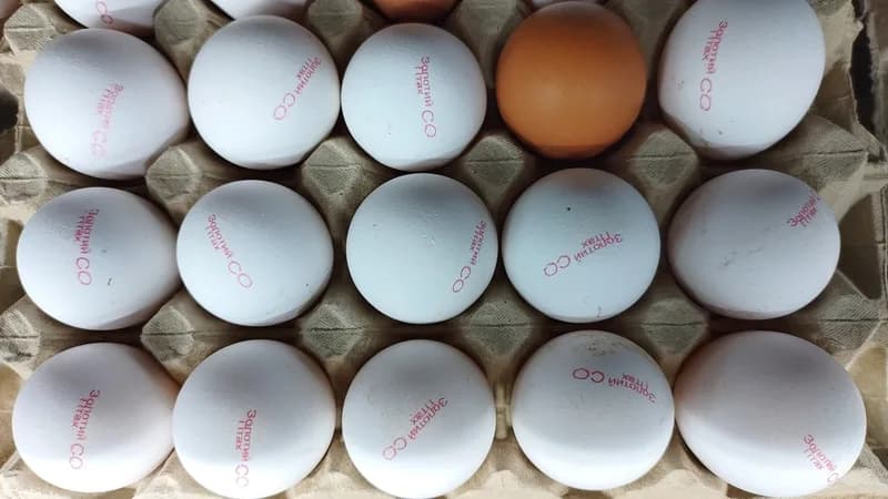 An open carton of white shell eggs sitting on a kitchen counter