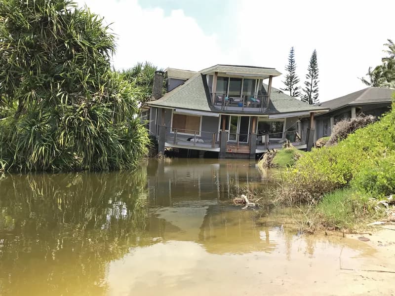 A house standing in brown floodwater, surrounded by dense tropical vegetation and palms, with debris caught in the water in the foreground.