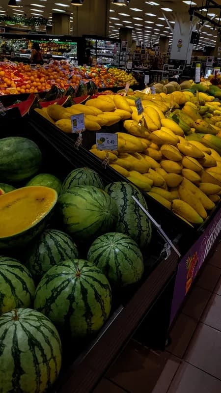 Whole mangoes displayed in a supermarket produce section, each bearing a small oval produce sticker.